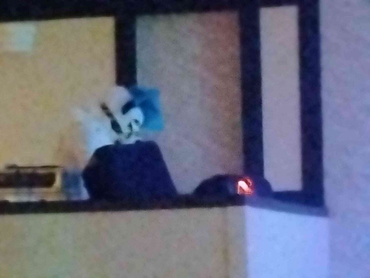 Knotty_CandyTSC's tweet photo. DJ for a con lmfao naw couldnt be-

IS THAT A DOG PLAYING MUSIC UP THERE?!

(#furry #fursuiter #furryfandom #furryconvention) https://t.co/5GrvC5V1FR