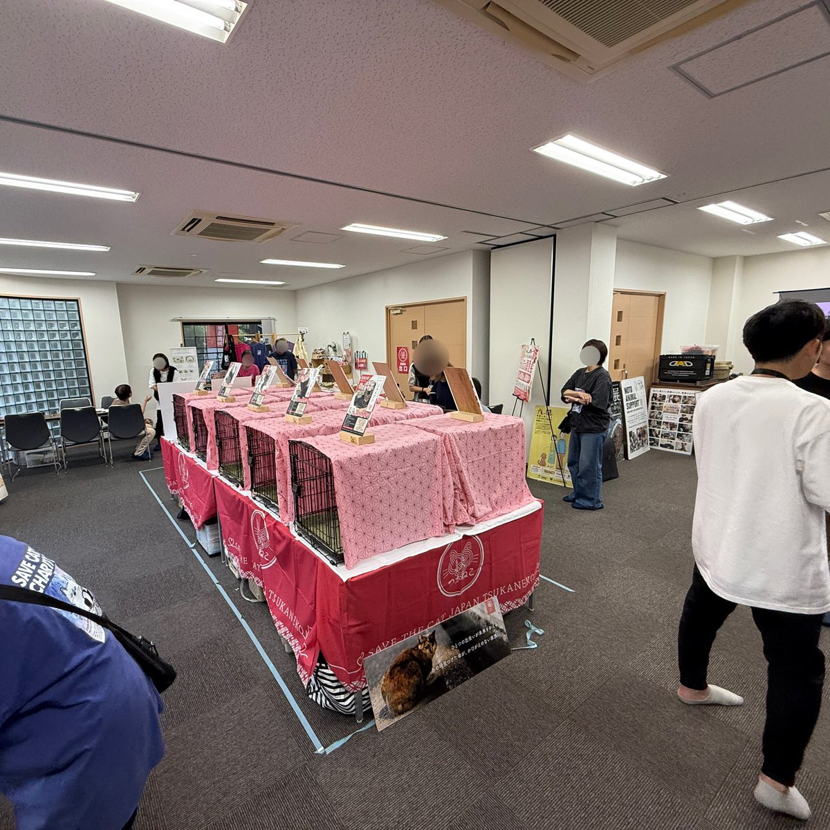 ginzanji's tweet photo. #つかねこ動物愛護環境福祉事業部 さまによる保護猫の譲渡会が開催されました。

譲渡では２匹の行き先が決まったそうです😊
震災写真展写真、チャリティー��ッズの販売、ペットフードドライブのコーナーも
定期開催を考え中

 #保護猫の譲渡会
#銀山寺 #天王寺区 #大阪市 #つかねこ #つかねこ譲渡会 https://t.co/xMSiVthx2M