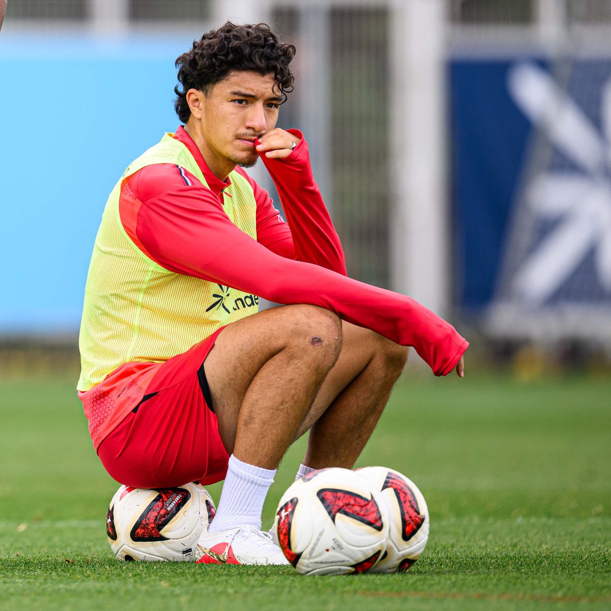 bayer04_en's tweet photo. Would you rather face 100 Ibo Maza sized chickens or 100 chicken sized Ibo Mazas? 🤔 https://t.co/sxehgj5TOf