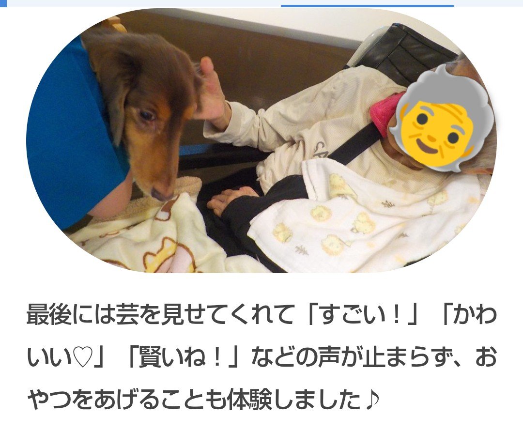 tw168iroiro's tweet photo. 特養のブログの新たな投稿にドッグセラピーでの母の写真も載ってました😊
職員ｻﾝが言ってたとおりダックスの耳を撫で撫でしてる写真…
微笑ましい🥰 https://t.co/j5rcDCwdaT