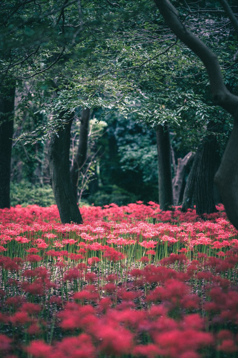 kelly__photo's tweet photo. Shot on FUJIFILM https://t.co/uowPG7yCqm