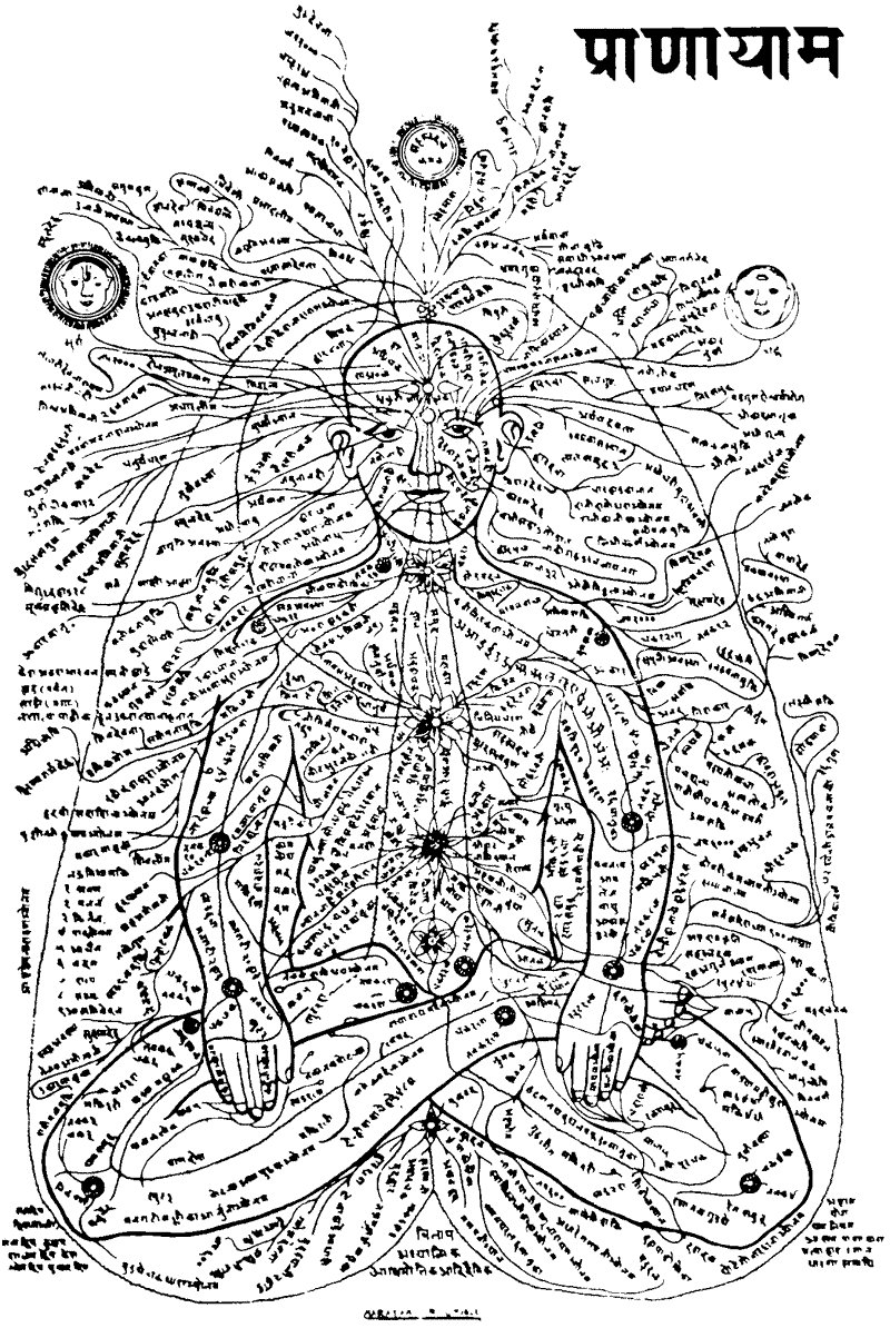 maximumpain333's tweet photo. There are 72000 nadis in the human body.

nadi means channel.
current.
river.

72000 rivers of energy.
running through the subtle body.

in chinese medicine they are called meridians.

in western science they roughly correspond to the nervous system.
the lymphatic system.
the fascial network.

but they are not identical to any of these.
because they belong to the etheric body.
not the physical.

the 3 primary nadis.
ida. pingala. sushumna.

run alongside the spine.
twisting around each other.
like the two serpents of the caduceus.

ida is the left channel. feminine. lunar. magnetic. cooling.
pingala is the right channel. masculine. solar. electric. heating.
sushumna is the central channel. the spine itself. the path of ascent.

when ida and pingala are balanced.
the energy enters the sushumna.
and the sacred oil can rise.

this is the meaning of the caduceus.
and every ancient staff with two serpents.

✨🙌🏾💫