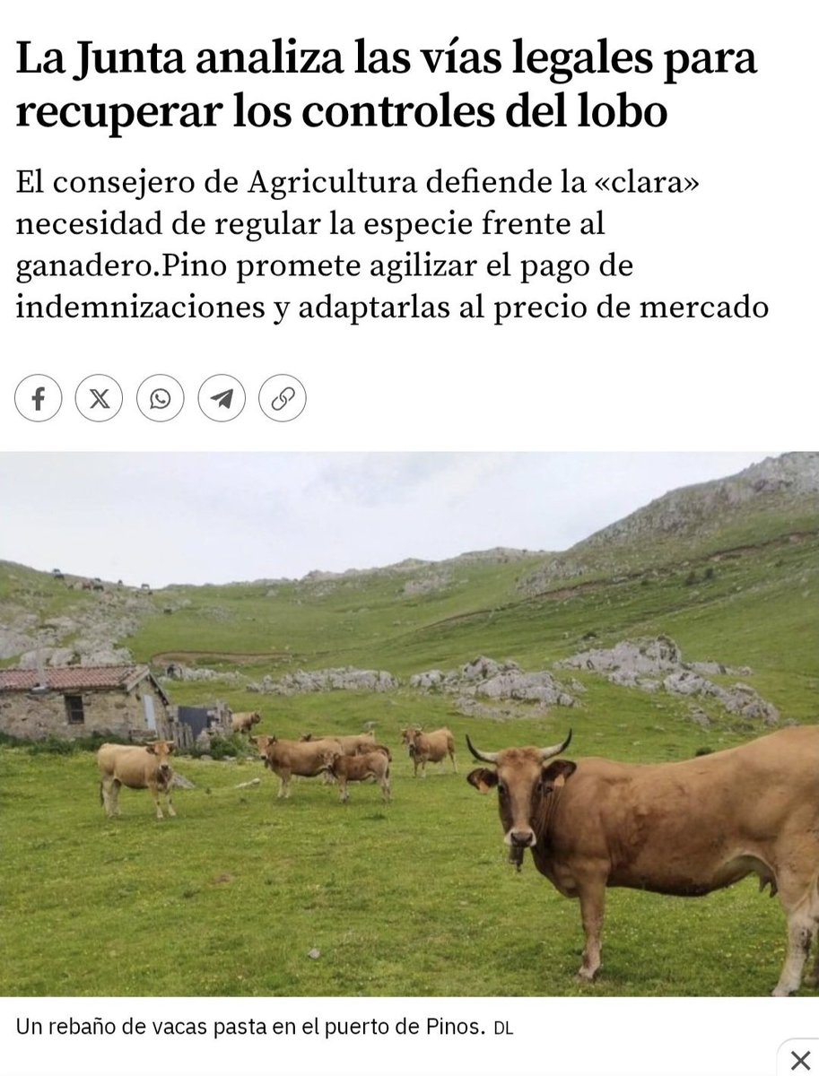 ascel_lobo's tweet photo. La conservación del lobo 🐺 forma parte del interés general de TODOS y no está subordinada a los intereses privados del negocio de algunos o a los del político de turno. El control de la ganadería debe anteponerse a la muerte a tiros de cualquier especie salvaje. 
CC @JCyL https://t.co/swaMfcdYtM