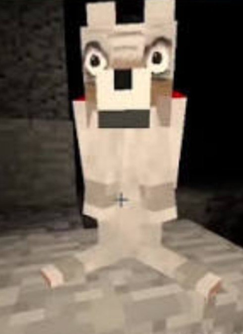 LightYagummyy's tweet photo. That fucking minecraft horror mod dog looks like L

That is literally dog L https://t.co/XAZpw821p2
