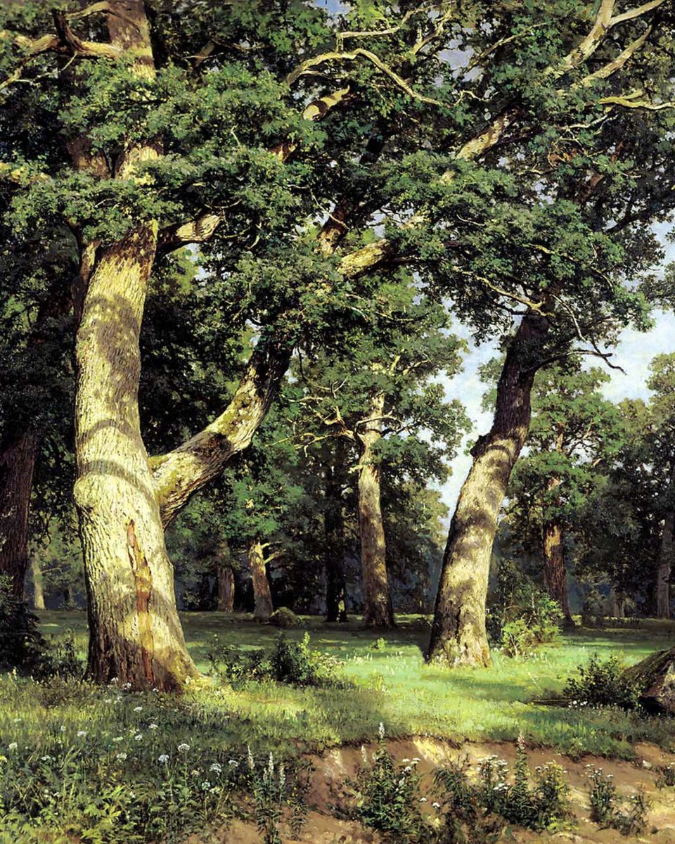 JamesLucasIT's tweet photo. This is not a photograph.

It’s called Oak Grove, and it was painted in 1887 by Ivan Shishkin. Every furrow of bark, every leaf, every blade of grass in the shade of these old oaks was put there by hand.

Shishkin painted trees so faithfully that his canvases are less like pictures of a forest and more like portraits of the trees themselves, each one rendered down to its smallest detail.

He spent his life wandering the woods near his home outside Saint Petersburg, studying nature so closely that Russia gave him a nickname: the singer of the Russian woods.

What I love most is that these oaks feel so alive, you can almost feel the coolness of their shade on your skin. And like very old trees in real life, they make you feel small in the best way possible, as if they have seen everything and are telling you that it will all be alright...