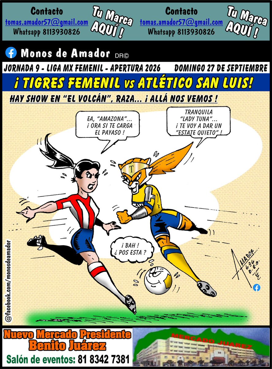 Antonio_Nelli's tweet photo. #TigresFemenil busca hacer valer su condición de local recibiendo a #SanLuis

Deja tu marcador para el partido de hoy en el Universitario. 

📸 @AmadorMonos https://t.co/PjWJwBTFk3