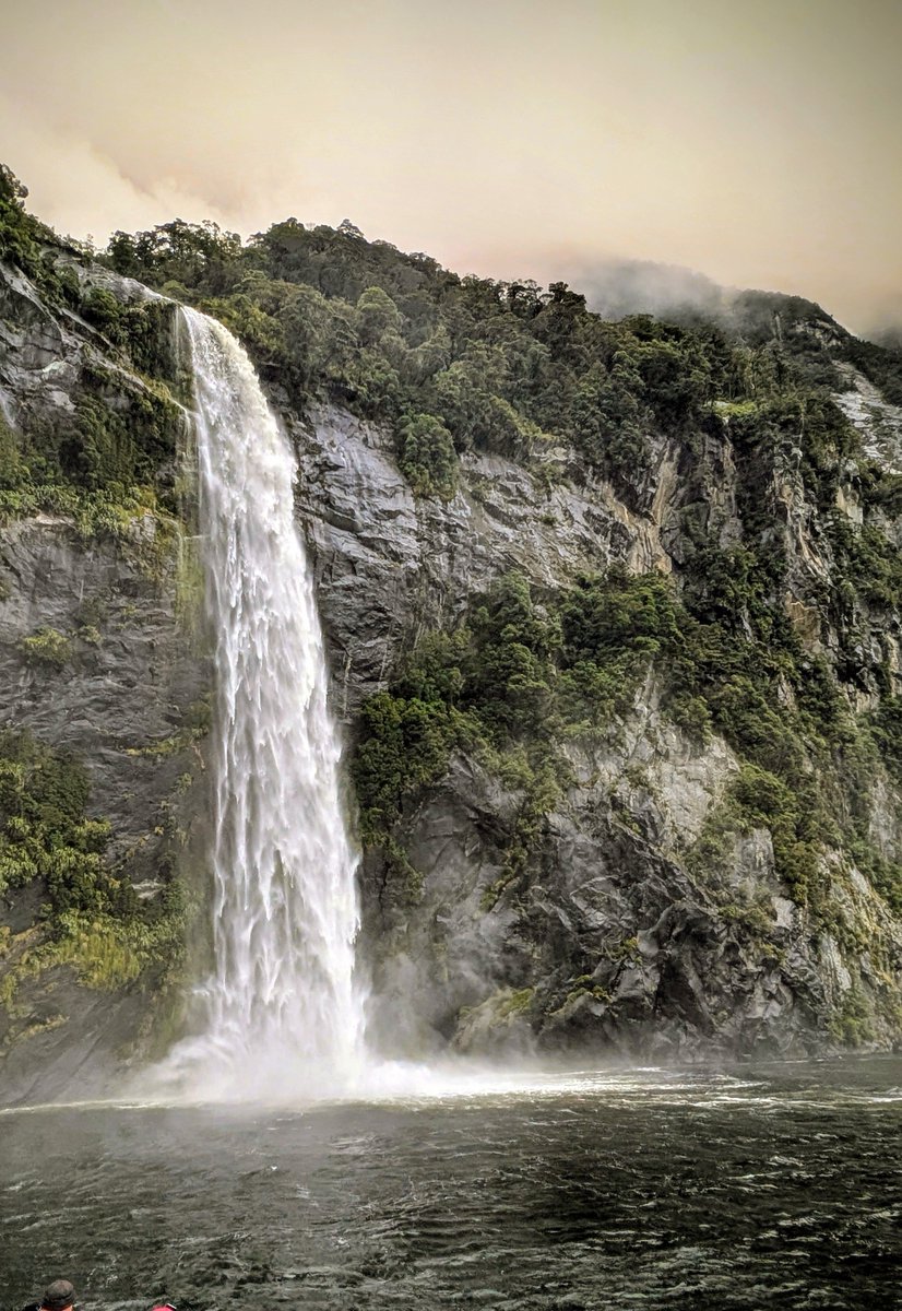 williampueyo's tweet photo. Milfound sound
#newzeland #voyage #travel #nature https://t.co/JXJq6e4F8J