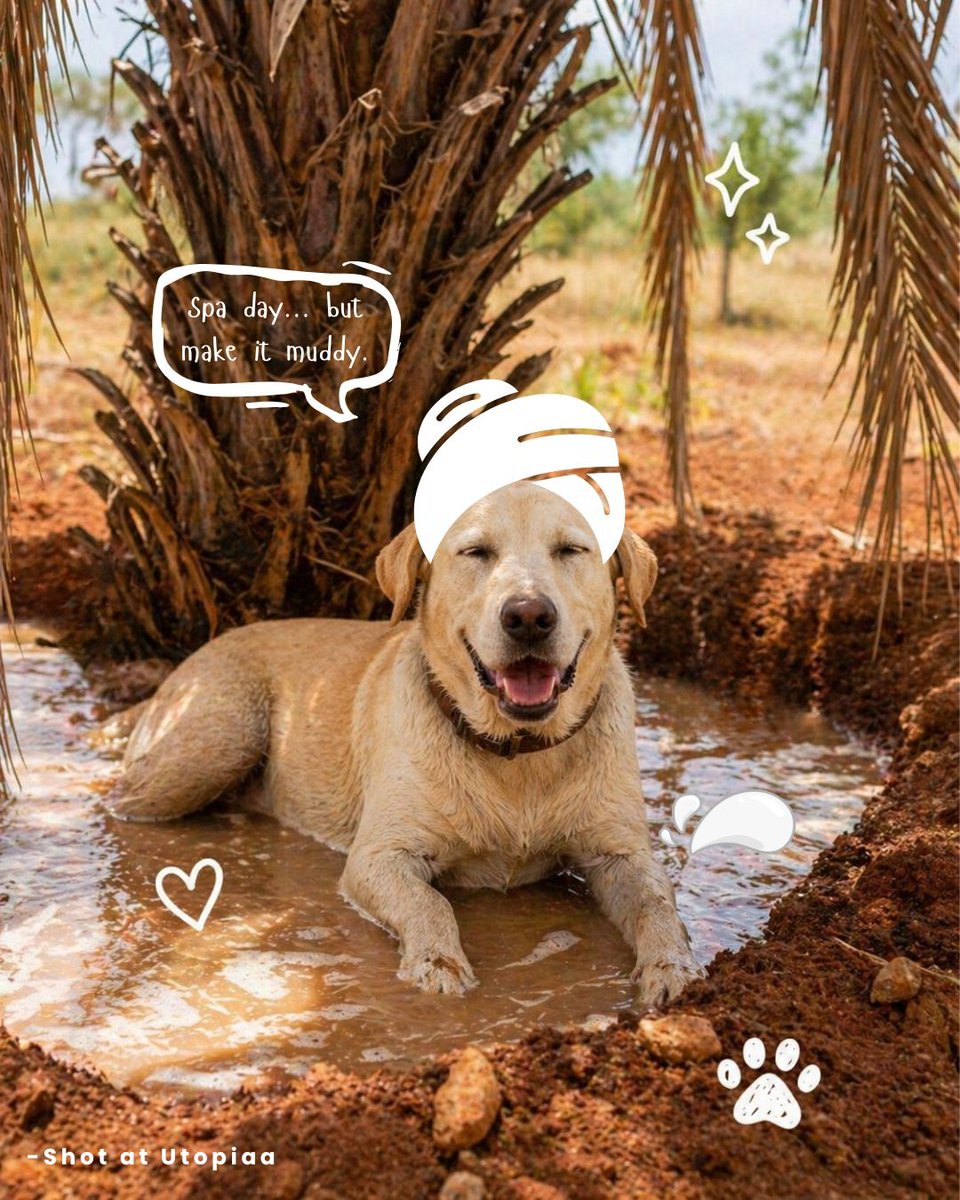 RustyLebeouf's tweet photo. A little mud, a lot of attitude, and unlimited happiness. Different moods, same vibe—living their best lives at Utopiaa. Swipe for more perfect moments. https://t.co/oM3tDzU1Zu