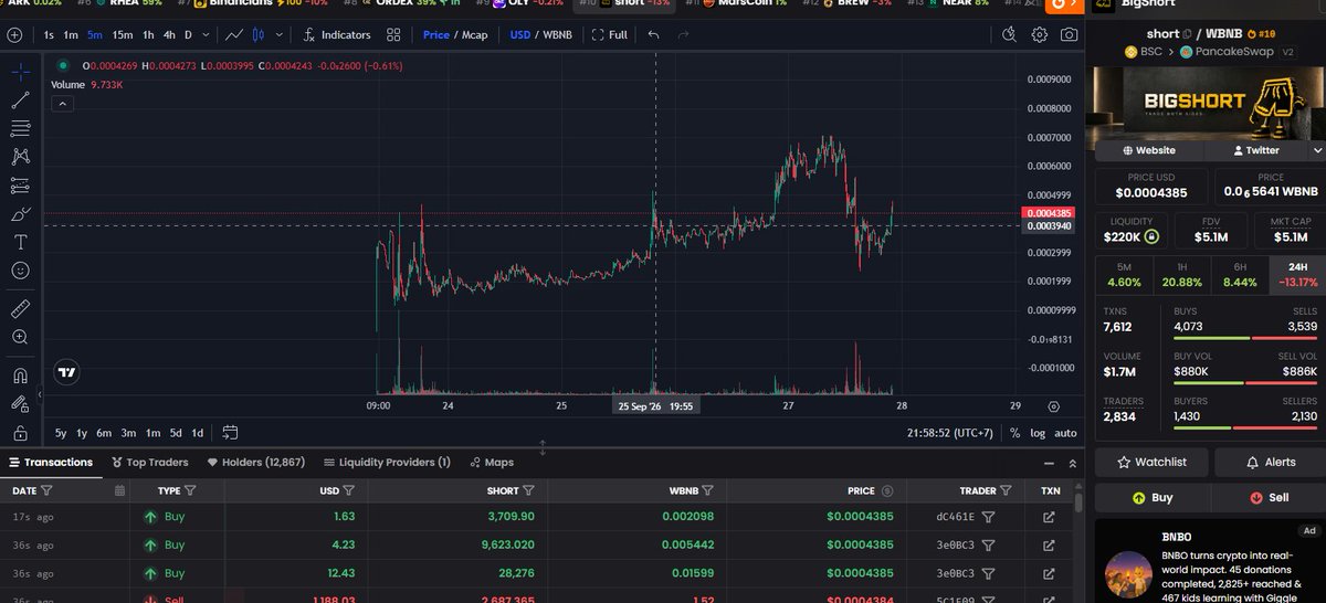 phamtuanylu's tweet photo. @Bigshortdotxyz @BNBCHAIN mkt cap 500 m https://t.co/BGEqz5Zzoi