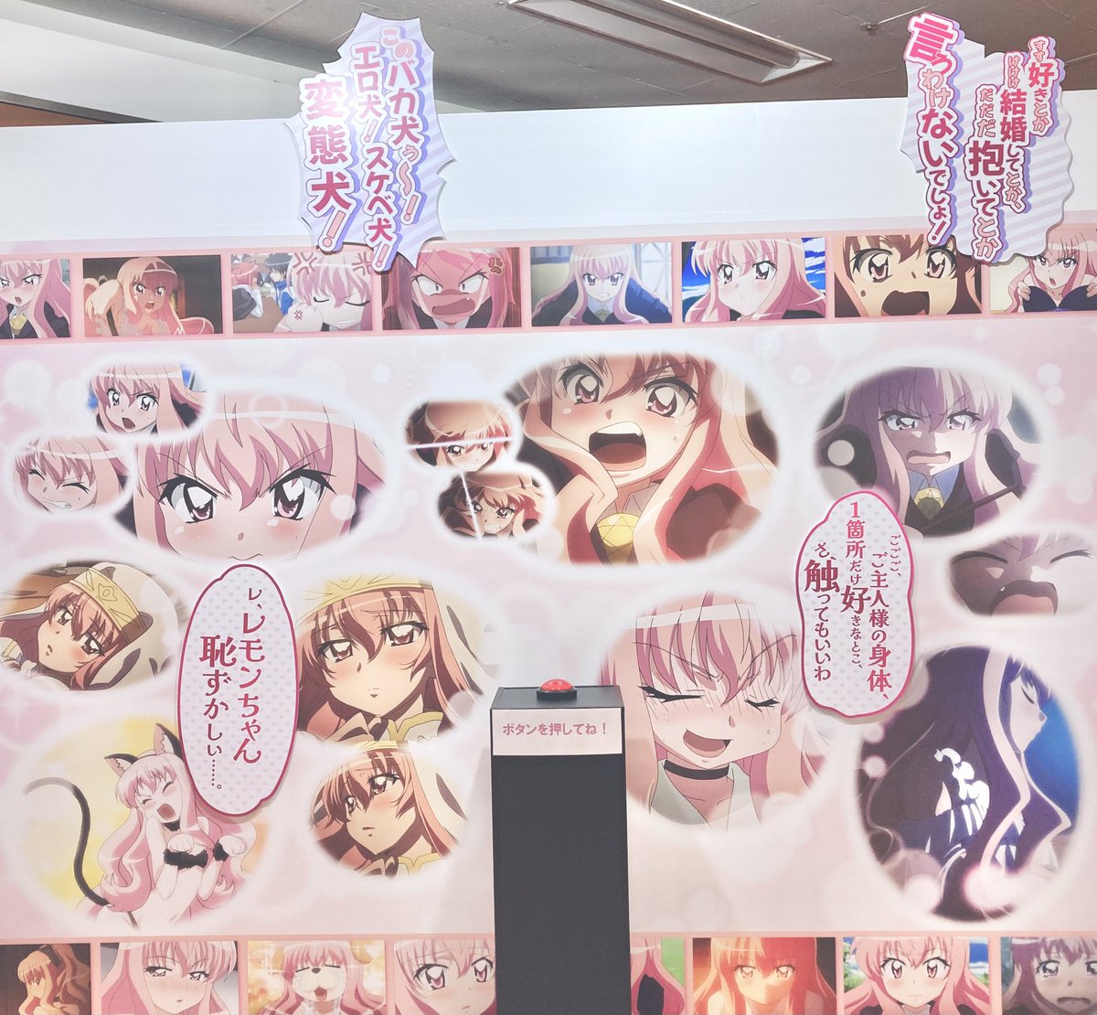 fllIlj's tweet photo. https://t.co/UDTvqL2zaL