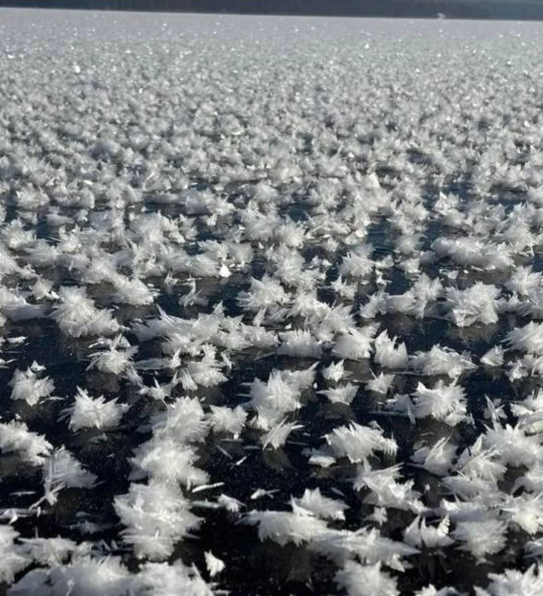 AngelosSoccer's tweet photo. https://t.co/WJ9FcREWl6