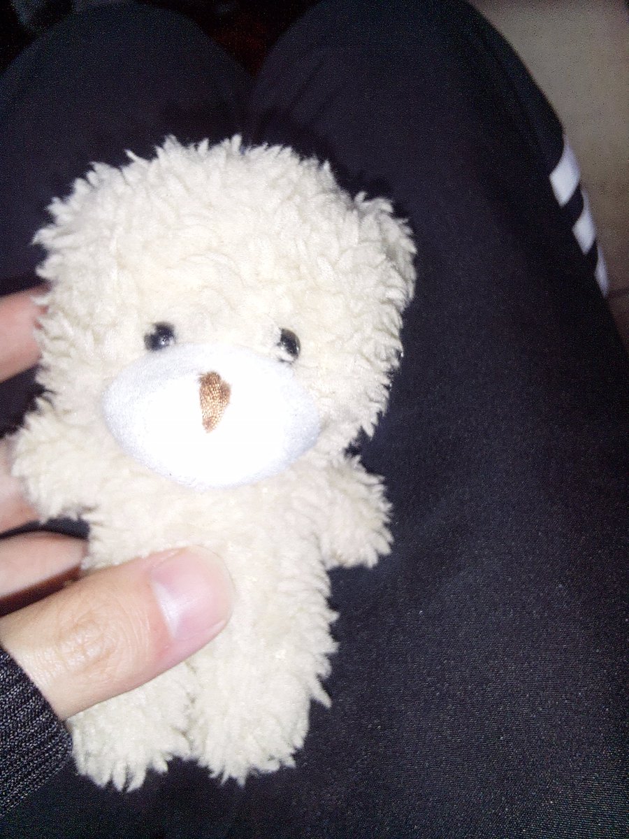 nekrLynx_APEX's tweet photo. 寝れないからUFOキャッチャーで取れたクマちゃん載せとく
肌汚いけどゆるしてね https://t.co/noQtMPUcFl
