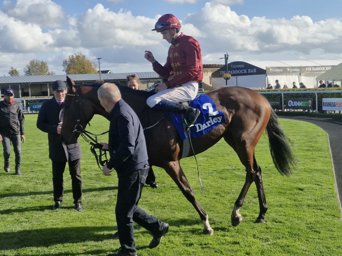 SportsNewsIRE's tweet photo. @JohnnyMurtagh's @GowranPark1 maiden winner, Curracloe (13/8jf), remains unbeaten in two starts, after successfully stepping up to Group 3 company in the @DarleyStallions Fillies Stakes @curraghrace under @BenCoen2 https://t.co/pGIZbTT7du