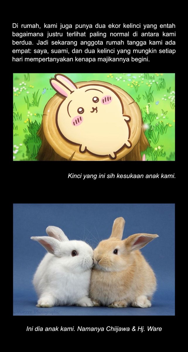 RumahKinci's tweet photo. https://t.co/5sQ2BIMAl7
