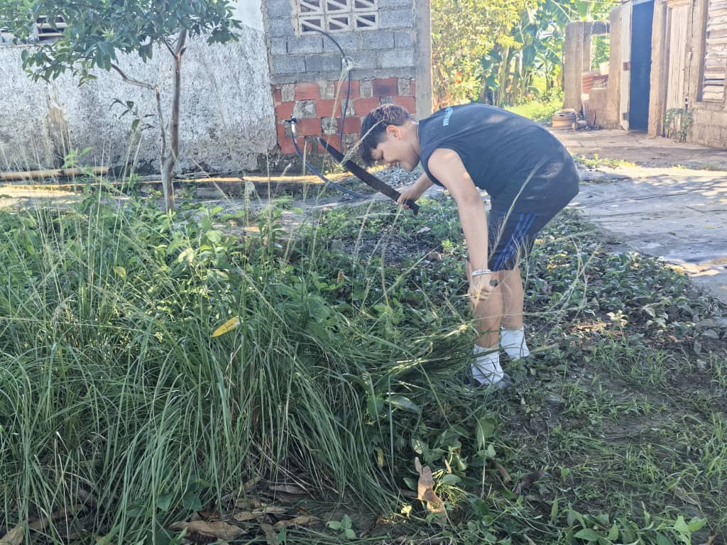 YamileRamosCord's tweet photo. Antes de la fiesta cederista el barrio se movilizó en jornada de limpieza y embellecimiento.  #UnidosXCuba aniversario 66 de los CDR #Cuba #PinardelRío https://t.co/VTmSichJET