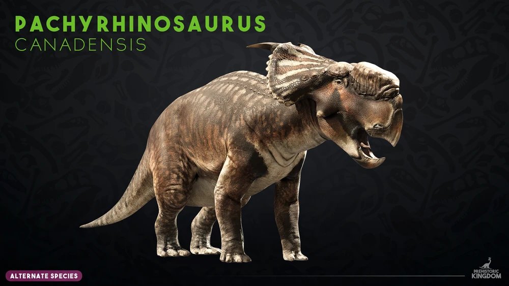 SnowyMoon69's tweet photo. @AethraDK I mean, I'm more fine with just a highly speculative Pachyrinosaurus (in a game that also has two other regular paleo accurate rhinos as variants if you don't like the fluffy one) than just a carch that just doesn't really look like carcharodontosaurus that much and thats it lol https://t.co/SDUlFsMR9R