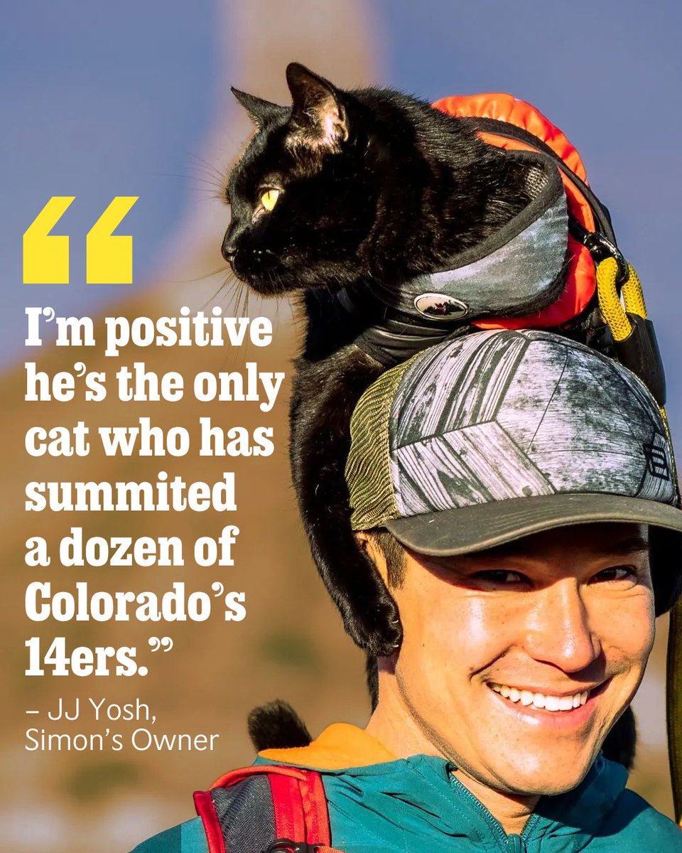 outsidemagazine's tweet photo. This Rescue Cat Has Climbed Colorado’s 14-ers. Now He Is Headed for Everest Base Camp.

JJ Yosh and his cat Simon have climbed Colorado's highest mountains and traveled to more than 15 countries and four continents together. Now the "Backpacking Kitty" duo is taking on the Seven Summits. https://t.co/jPqpjdotFr