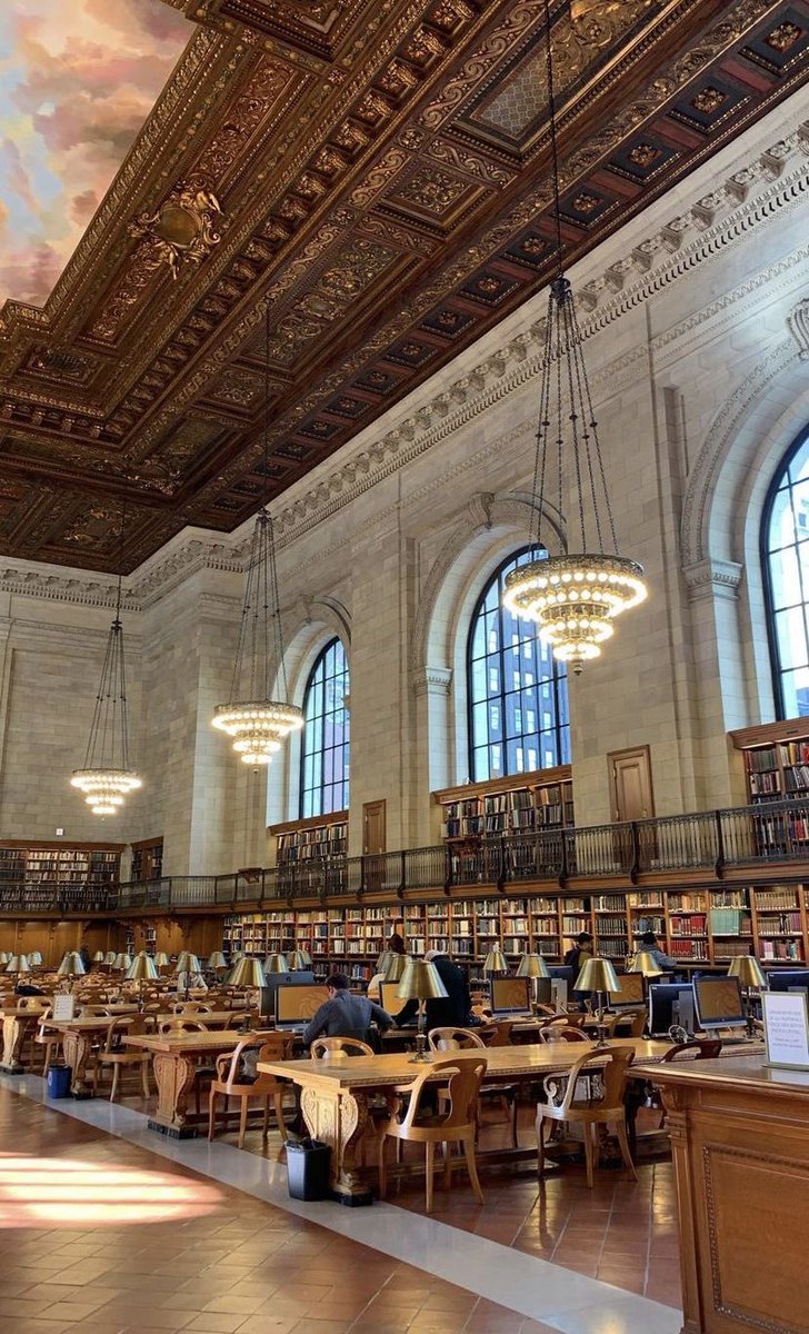 ephhemere's tweet photo. studying at libraries https://t.co/oTGxGXNBl1