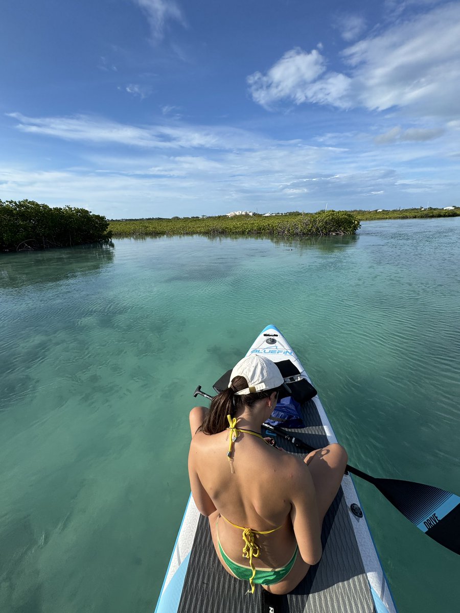 WillTimberlake_'s tweet photo. Perfect Saturday: 

Paddle boarding with Turtles 
Some Work 
Gym 
Buy Steaks 
Chill + light work 
Cook steaks 
Eat steaks 
Bed 

What a life man https://t.co/pRTIjNtt0n