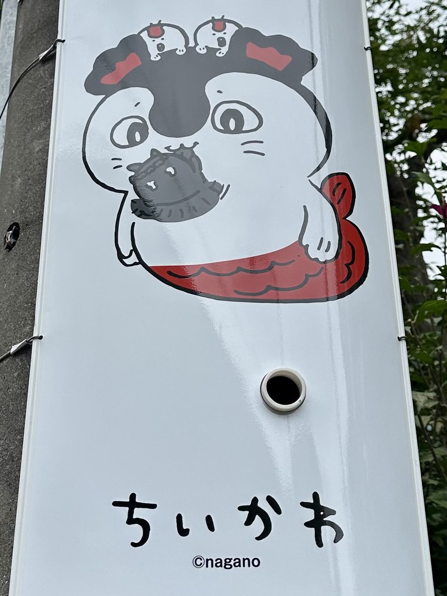 hismism's tweet photo. あるよって噂を聞いたから、家族みんなで本日のちい活。
ハマると分かっていたから頑張ってハマらなかったのに…！案の定だよナガノ先生…！！
#ちいかわ 
#ちいかわ電柱 https://t.co/vgiQ17EZNY