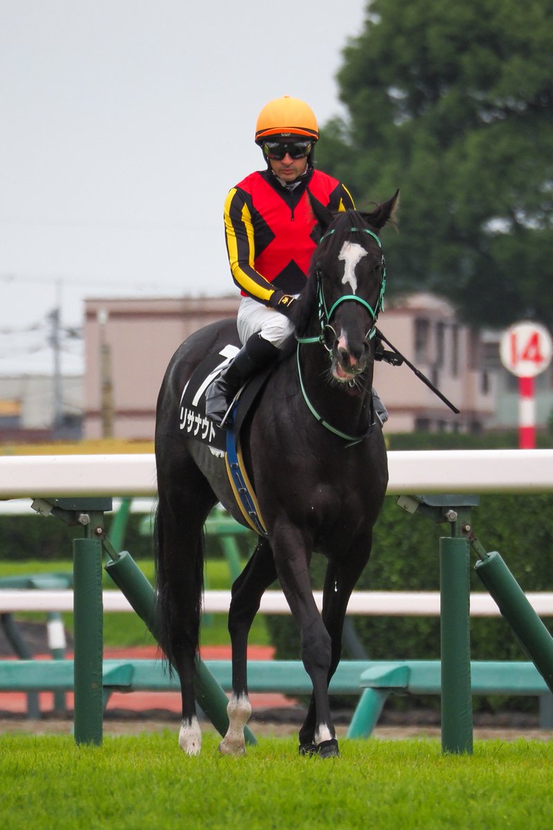 f_ltdexp_race's tweet photo. 2026.9.27
中山9R  サフラン賞
リサナウト  C.ルメール騎手 https://t.co/GMI2nZSKka