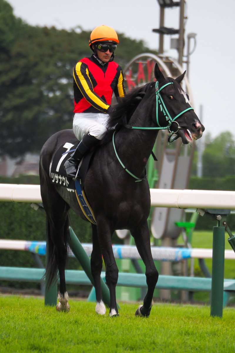 f_ltdexp_race's tweet photo. 2026.9.27
中山9R  サフラン賞
リサナウト  C.ルメール騎手 https://t.co/GMI2nZSKka