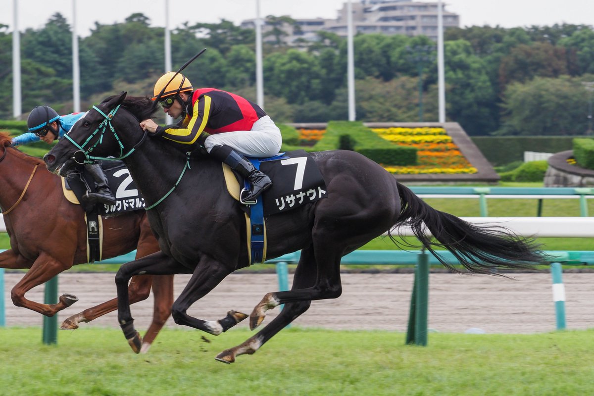 f_ltdexp_race's tweet photo. 2026.9.27
中山9R  サフラン賞
リサナウト  C.ルメール騎手 https://t.co/GMI2nZSKka