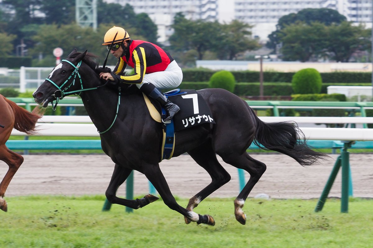 f_ltdexp_race's tweet photo. 2026.9.27
中山9R  サフラン賞
リサナウト  C.ルメール騎手 https://t.co/GMI2nZSKka
