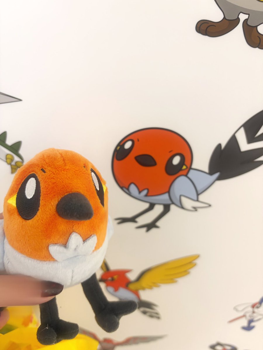 182_okami's tweet photo. 今日は、ポケカ当選した友達に付き添いでポケセン行って、ヌメラお迎えして、友達とぬい活してきた🎶
推しポケのぬいが増えてきて嬉しい🥰
ポケぬい活念願で楽しかった(՞ . .՞)𓈒𓂂𓏸♡ https://t.co/kxFYZnESTt