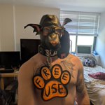 Photo by Pup Templar (@PupTemplar)