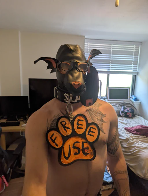 Image from Pup Templar (@PupTemplar)