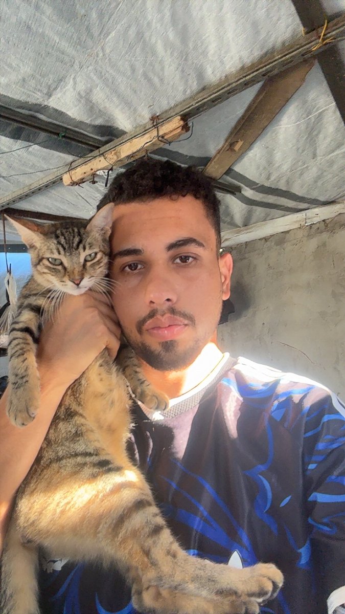 Mo7mmd30's tweet photo. My cats and i are still alive in Gaza.🇵🇸

If you see this photo, please don't scroll past in silence.

Write anything - even a single dot means so much to us and reminds us that we are not alone.🥹💔🙏 https://t.co/SPlNNEF1wx