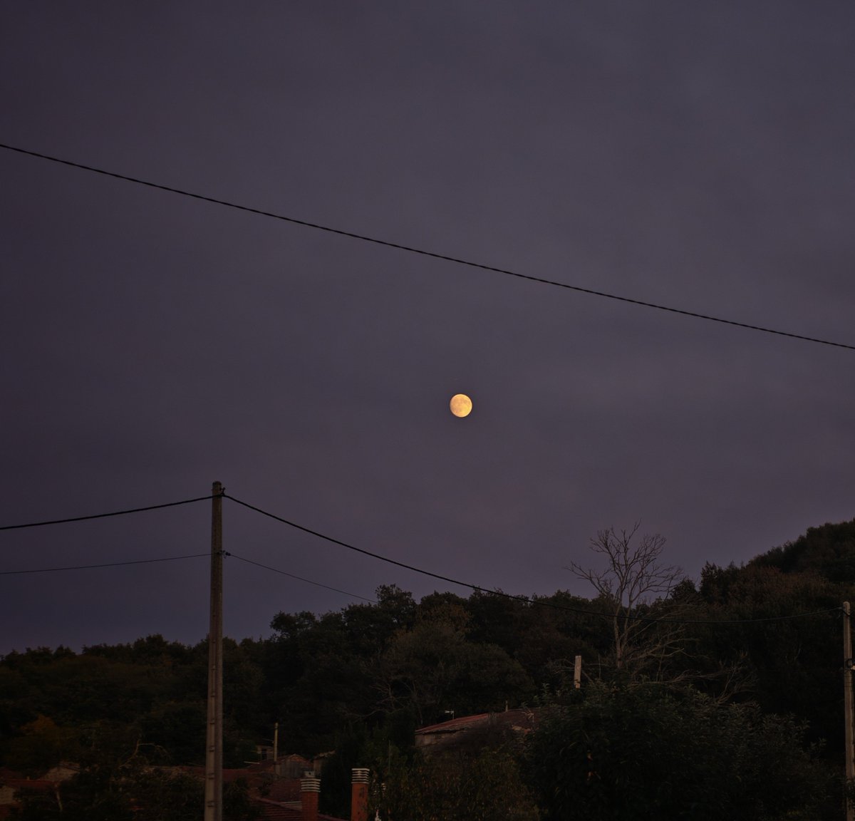 NolasCid's tweet photo. Para @DeApelidoFlores e todas as lunáticas, a Lúa case que chea do outono
En setembro que xa hai que madrugar, mentres ela vai decrecendo ata desaparecer, no ceo comezan a chegar Xúpiter e Marte visibles antes da saída do Sol
Sempre hai moito que ver na pantalla máis divertida 😉 https://t.co/GVtFSgEsCS