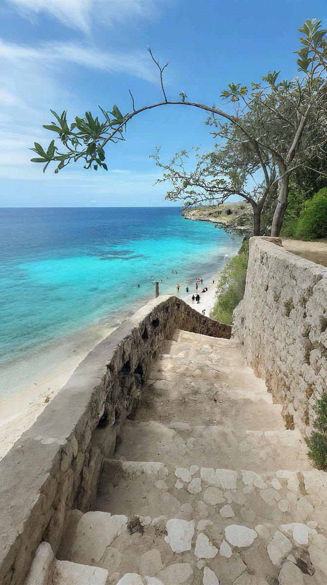 viewsoff's tweet photo. Bonaire 🇧🇶 https://t.co/LV8i37oKXD