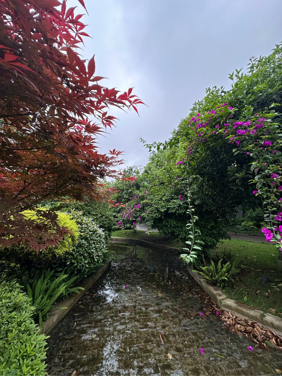 RosariaMcccmf's tweet photo. [El Club de Fotografía invita a todos a nuestra caminata fotográfica este sábado en el Parque Central! Trae tu cámara y captura paisajes increíbles —te esperamos! ]， https://t.co/2uZD4jOZaN