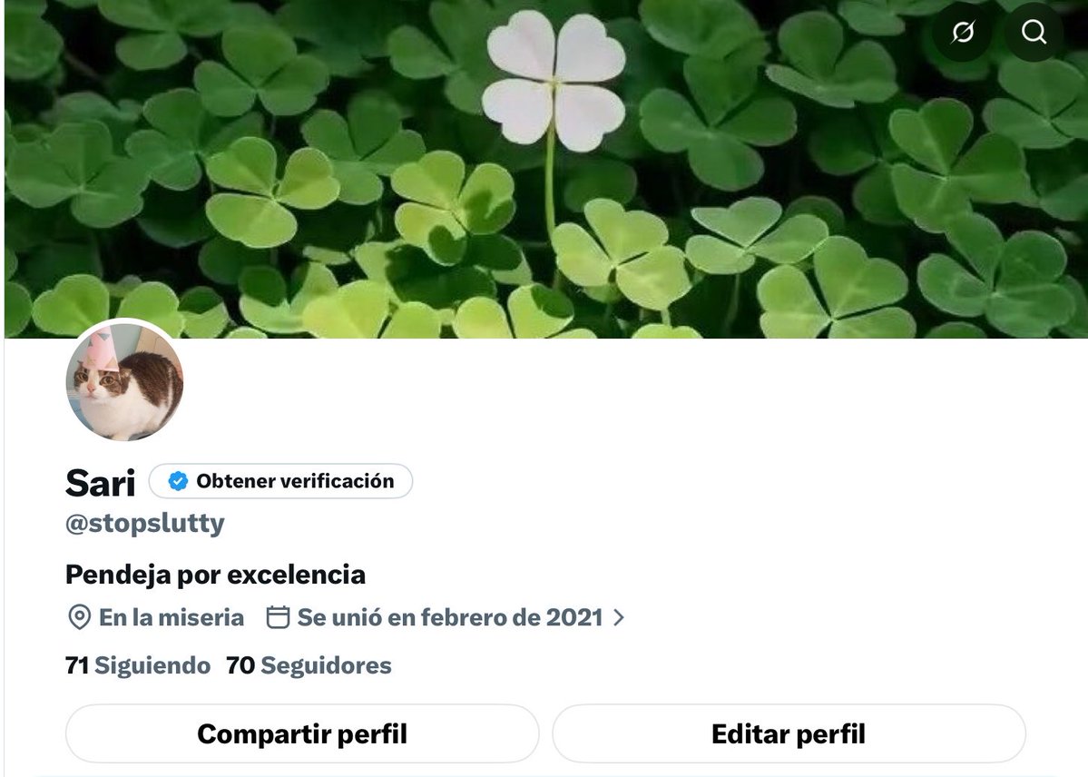 stopslutty's tweet photo. q loco q hace menos de 48 horas este era mi perfil y ahora voy para 500 seguidores 😭🫶🏼 https://t.co/g6crTafah2