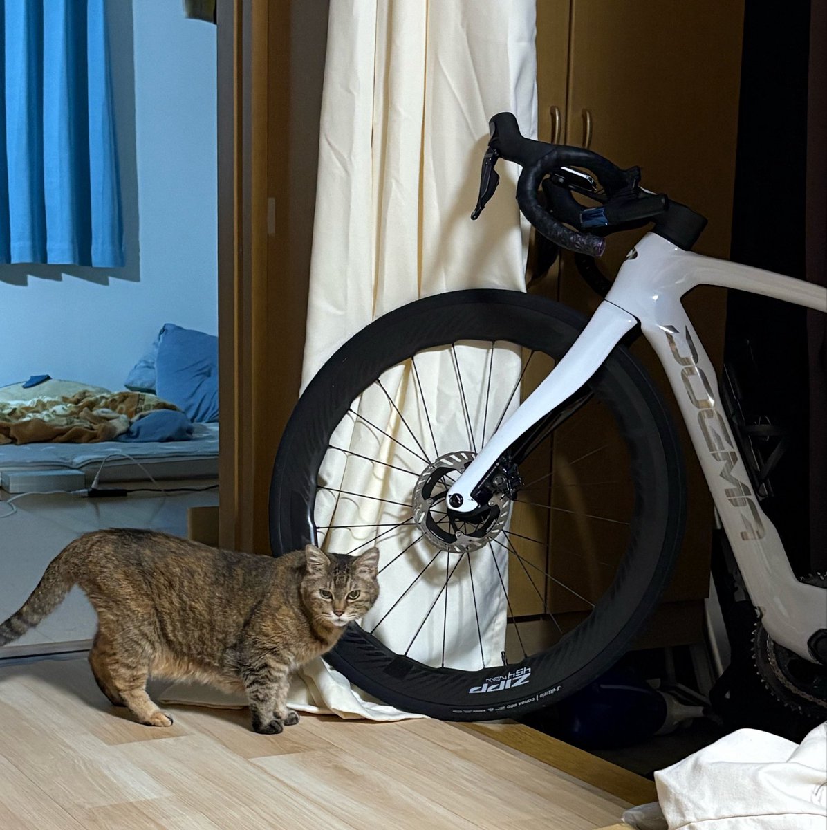 mochiz's tweet photo. メカニャックのチェック入りました🐱🔧 https://t.co/NKgO8dhnWY