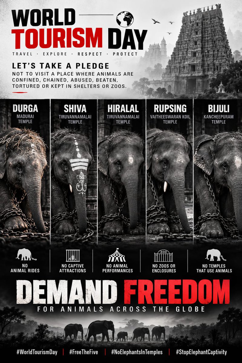 sanskriticekl's tweet photo. 2026 is going on and still animal abuse is everywhere over the parts of world 
Let us all save the voiceless let's be there voice instead of staying silent 
#worldtourismday #whythechains  #freethefive #noelephantsintemples #stopelphantcaptivity 
@CMOTamilnadu https://t.co/l9CEws2wKh