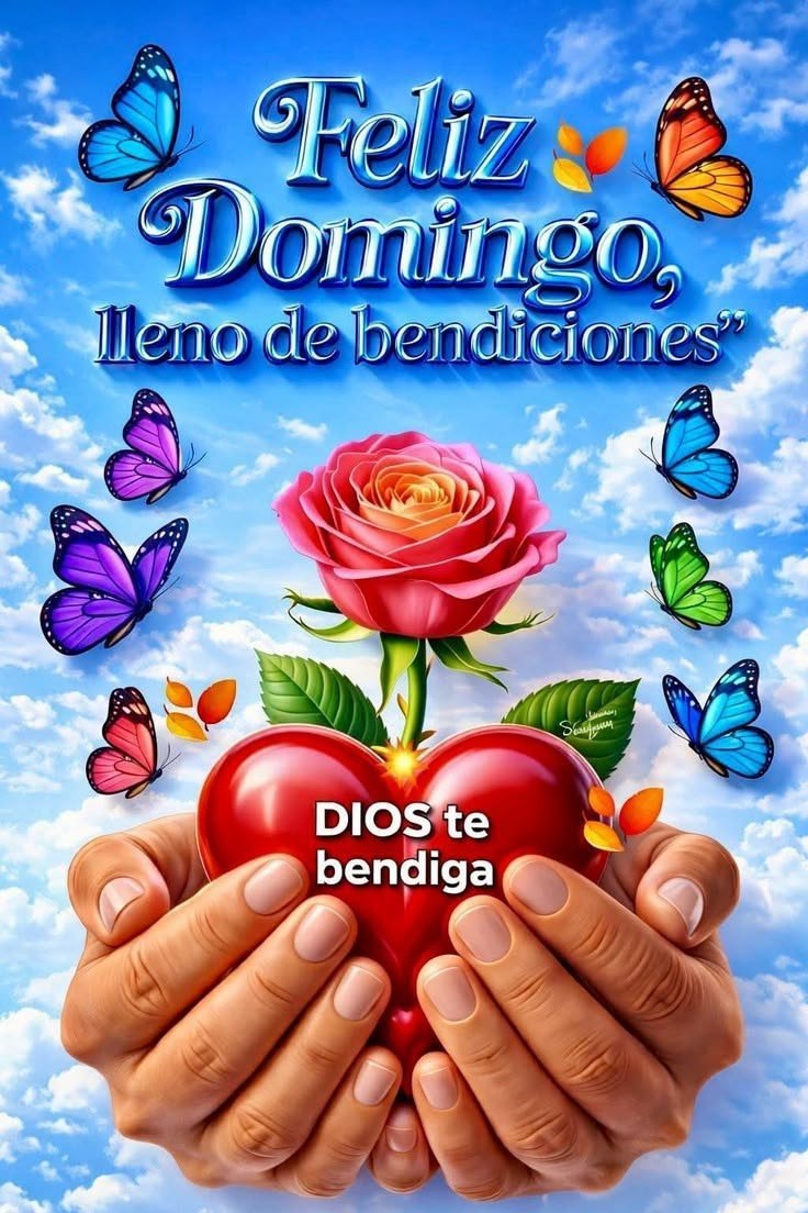 Berenic97237153's tweet photo. 😊😘❤️❤️☕#HOLA☕❤️❤️😘😊
#BuenosDíasdeBesos
#BuenDomingodeBesos
#BuenFinDeSemana
#FelizDomingo
#AvisoArenaMexico
#HoyEsMiTrabajandoEnIssste
#AmigosATodos
#AmoMexico
#FuerteMexico
#MexicoCity
Los quiero
#CDMX 🇲🇽🇲🇽❤️❤️😘😘😊😊☕☕☕☕☕☕☕☕☕☕☕☕☕☕ https://t.co/S79m3Rzwxp