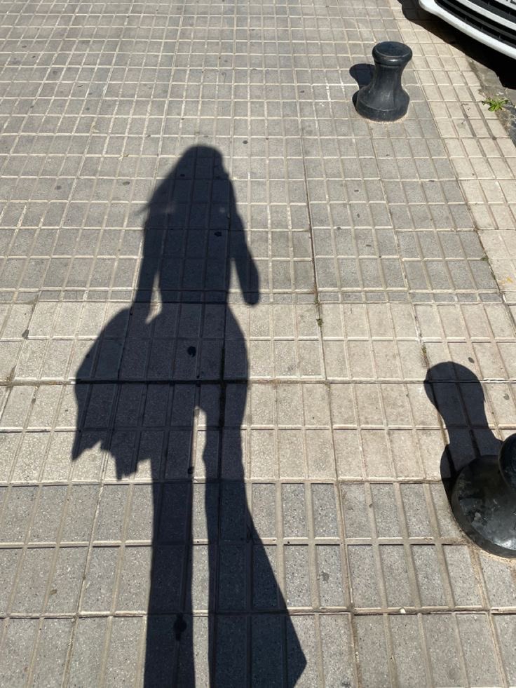 dirtyblondethin's tweet photo. skinny shadow https://t.co/kqkPytUg3M