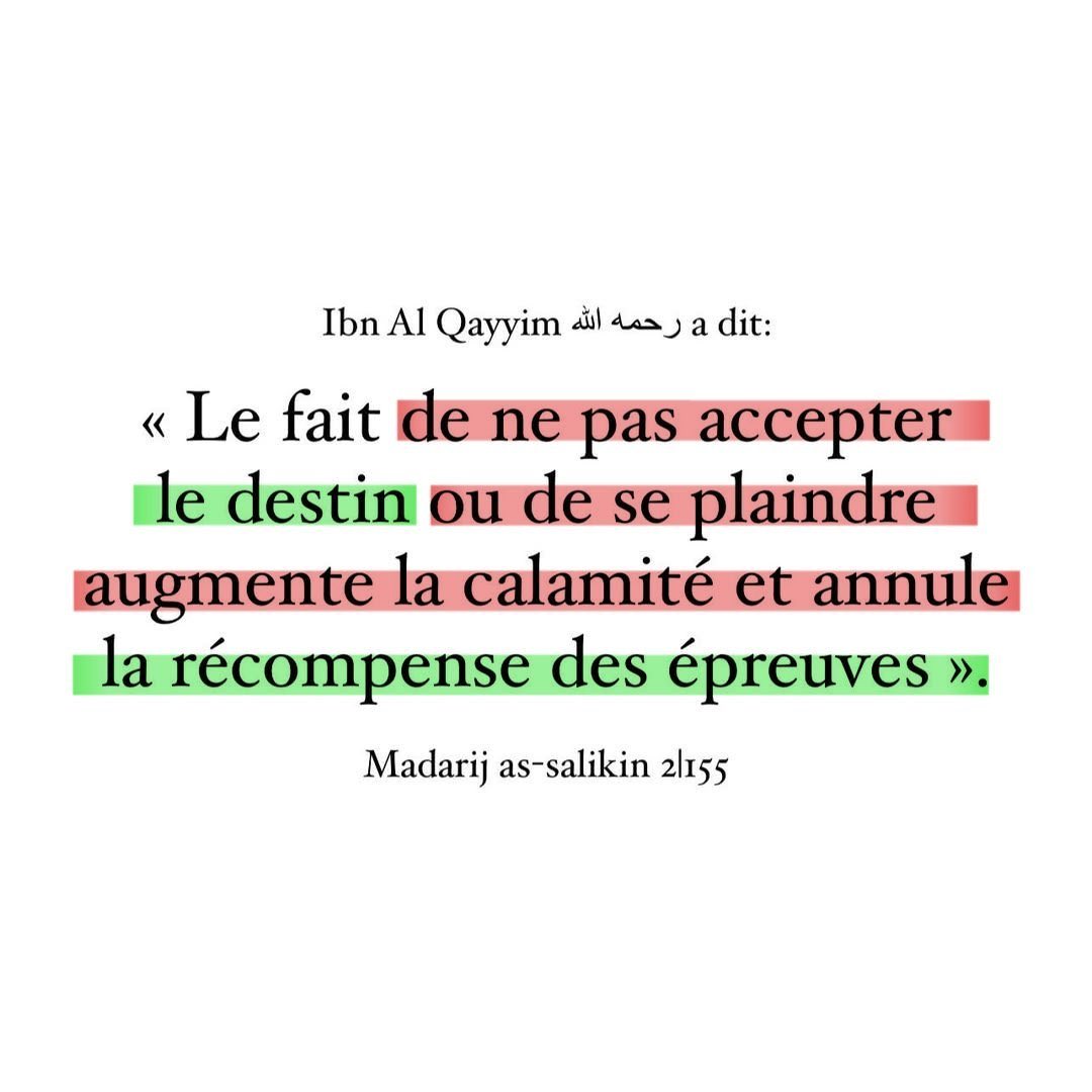 moussa_tawhid's tweet photo. À méditer…… https://t.co/27IVNZraDE