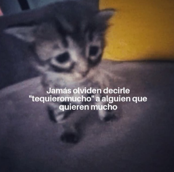 Natalia26oe9's tweet photo. Nunca!!! https://t.co/pLBY3SdAp8