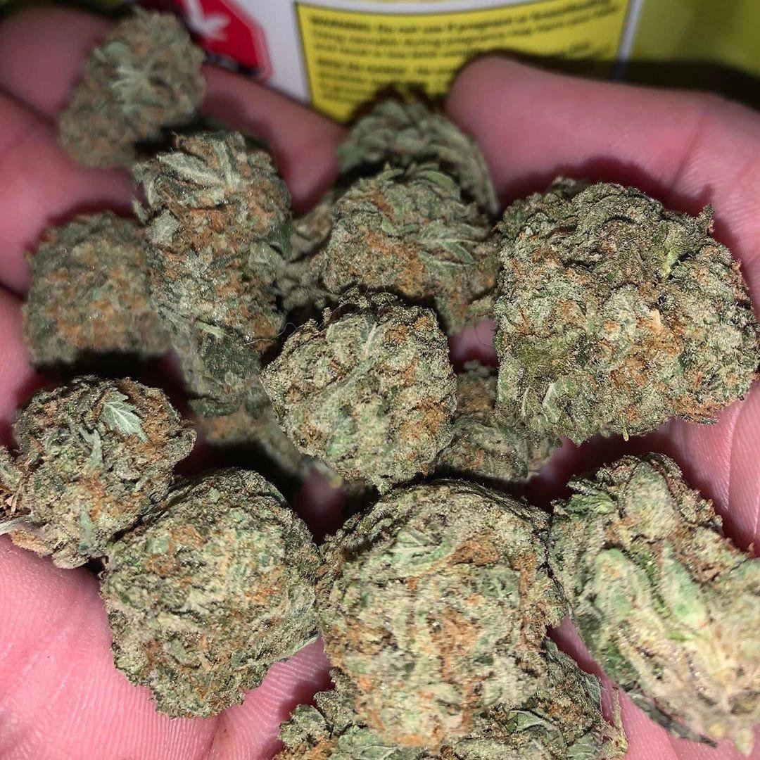 ExpressoFr83180's tweet photo. Livraison rapide et discret dans tout les coins DM moi pour commander 🇨🇵
Pour la Team France 😁💯

 ☎️Telegram:https://t.co/RG0lD1Y9r4 
☎️snap👻: moulla26

WEED BEUH Livraison 
Click ici pour commander 
#PARIS 
LYON 
MARSEILLE
#Annecy
#Lille
#Nantes https://t.co/RUfXQY0I1S