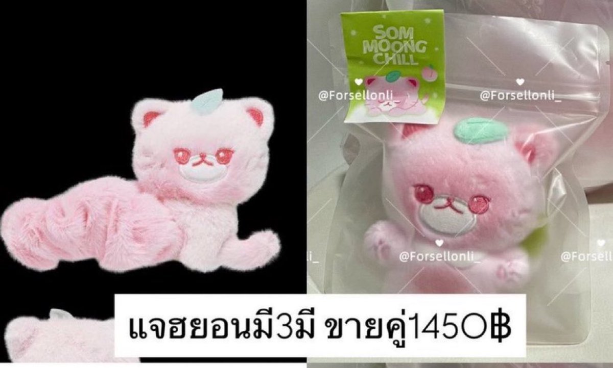 Forsellonli_'s tweet photo. ✅ส่งกลับแล้ว- ขายคู่บกฮยอน 10ซม.

scrunchie ยางมัดผม แจฮยอน เหลือ2

📍รอของ7-8วัน  
📮ค่าส่งเหมา40 สั่งซื้อDM 
#ตลาดนัดnct #ตลาดนัดnct127 #NCT127_5TH_NEOCITY_BANGKOK_THE_REDLINE
#THE_REDLINE_BANGKOK ตามหา wts https://t.co/FKRdlkCMz9