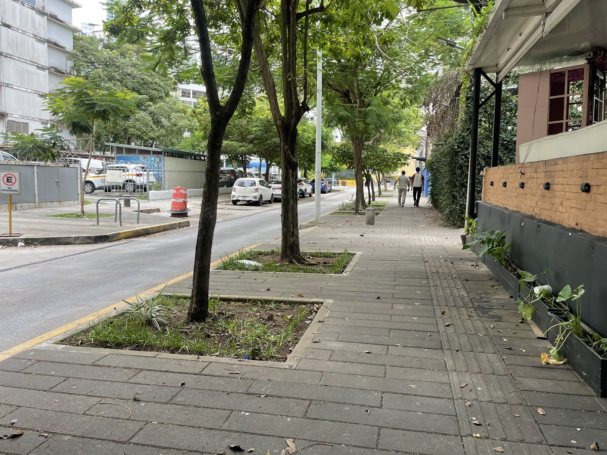 freddypitti's tweet photo. Aceras de Calle Uruguay VS las aceras de @arquiterror 

Los ciudadanos no tenemos porque aplaudir, ni aceptar este desempeño, sobre todo cuando la @Panamaalcaldia ha gestionado $636 Millones en 2.5 años. 

No hay excusa que valga para esta chambonada. #Arquiterrorismo https://t.co/COT3abqnJ2