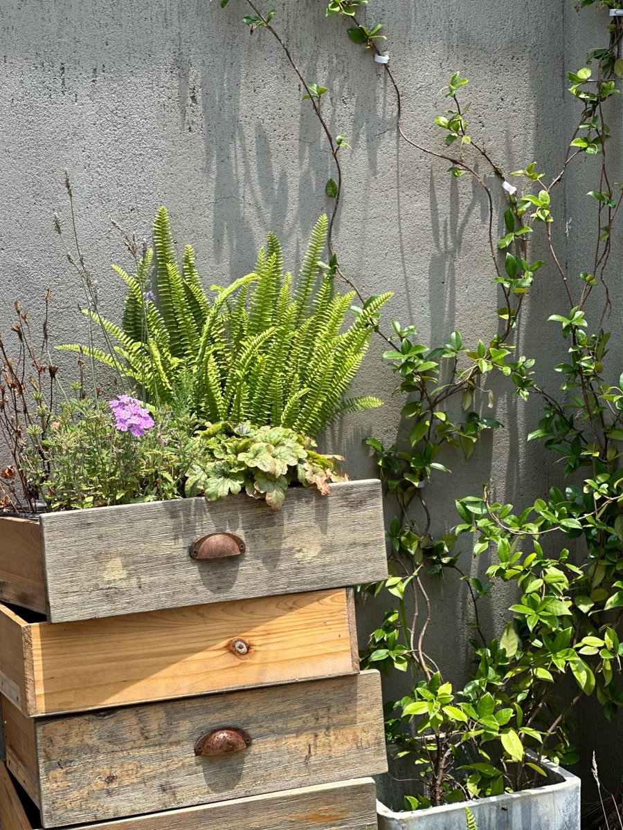 WoodrowSaxf1's tweet photo. Transformé una vieja caja de madera en una maceta decorativa con pintura y pinceladas sencillas https://t.co/V42X1u3tpJ