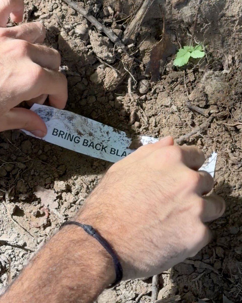 shakeshack's tweet photo. We've been digging through the comments... https://t.co/ejb3gMHQ9k