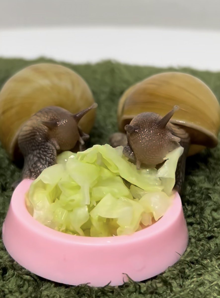 fruitpibble's tweet photo. us if we were little snails https://t.co/UXlRUGCPdF