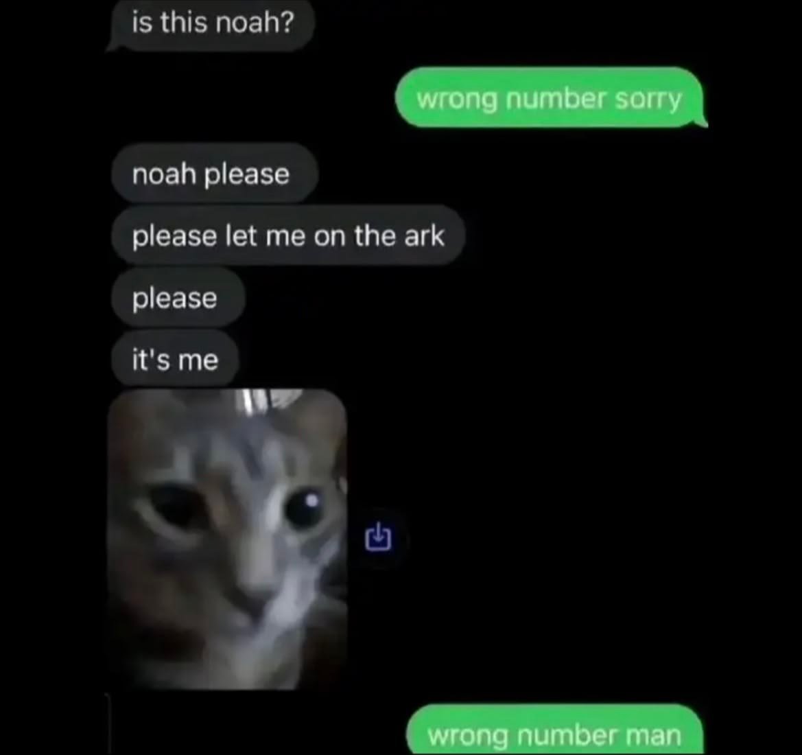 CatPosted's tweet photo. https://t.co/fYmKXm6BFe
