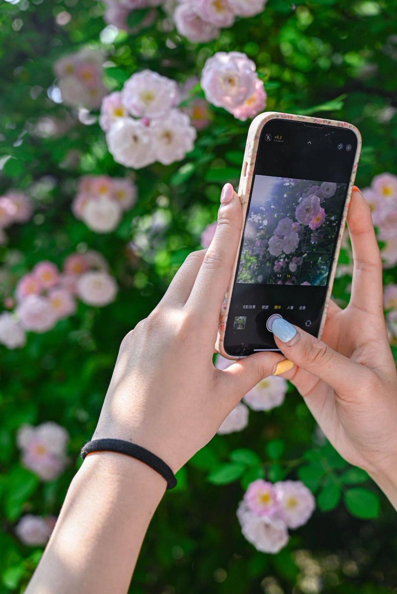 FreedaRaqurn's tweet photo. Para empezar en la fotografía, olvides equipos caros: un smartphone y ganas de observar son suficientes! https://t.co/sBxNty46Dx